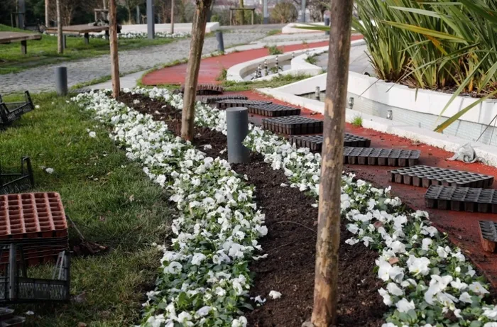 (fotoğraf - ahaber.com.tr)