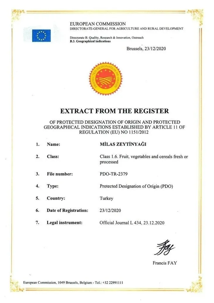 0x0-1768303642698 Garandere zeytinyağında polifenol oyunu! Coğrafi işaret etiketiyle vatandaşı kandırdılar