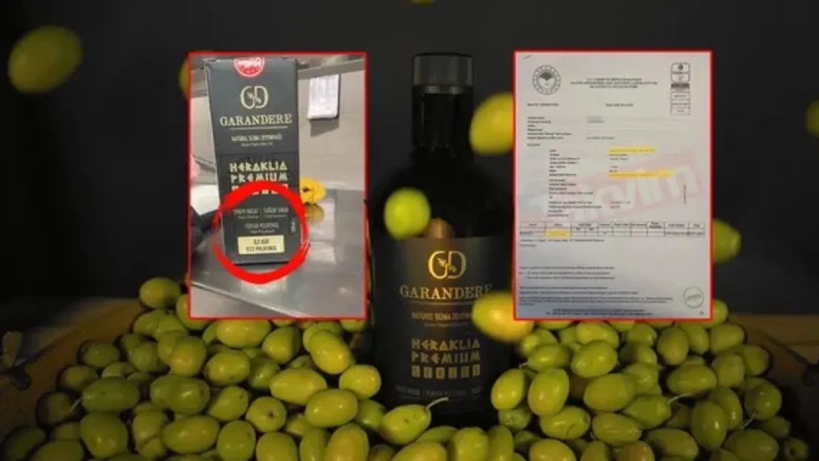 1200x675-1768303583094