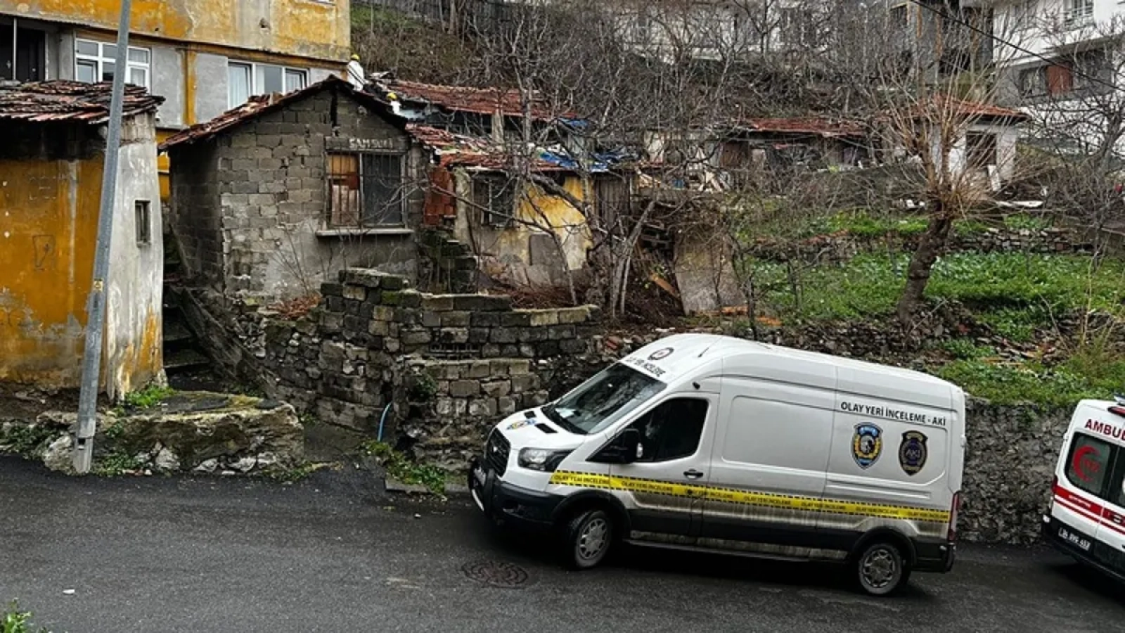 1200x675-1769066784769