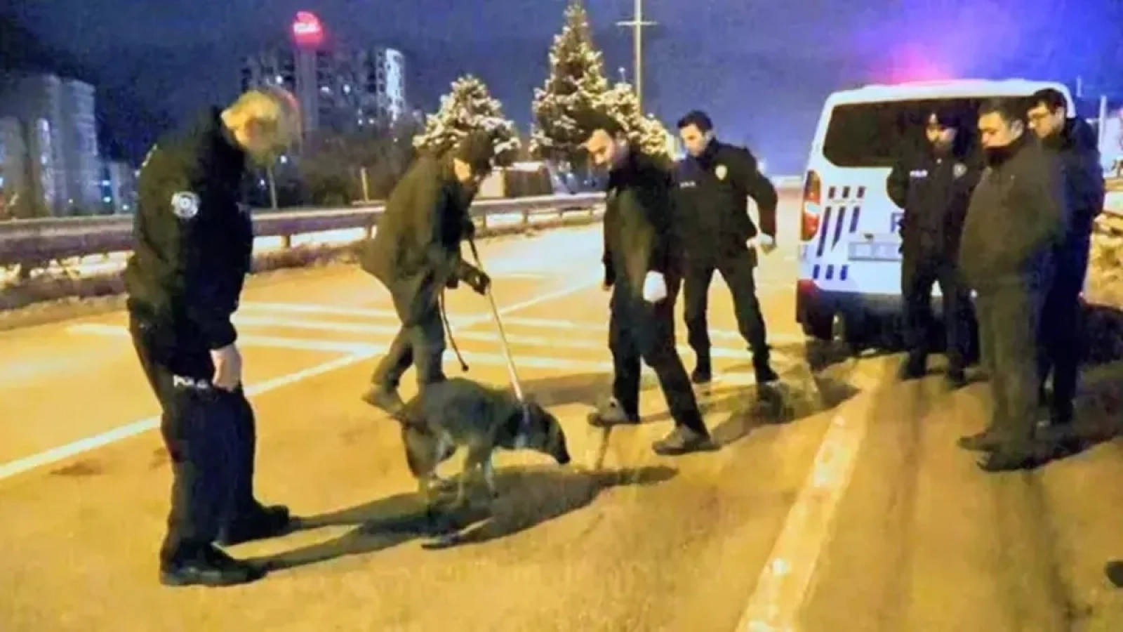 1200x675-devriye-gezen-polislerin-buldugu-yarali-yavru-kurt-tedaviye-alindi-1767547665621