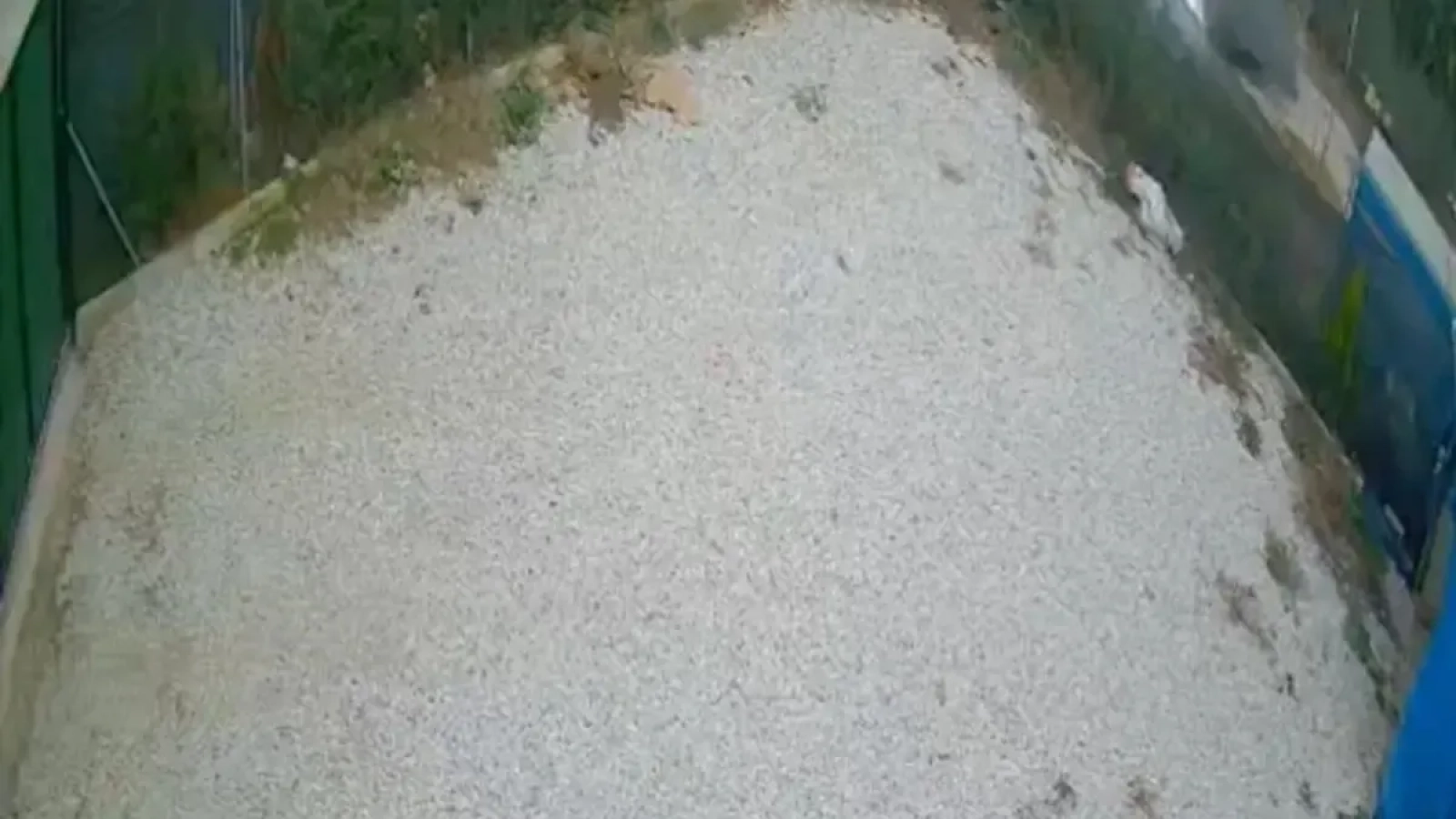 1200x675-direksiyon-hakimiyetini-kaybeden-surucu-olumden-boyle-dondu-1767687492112