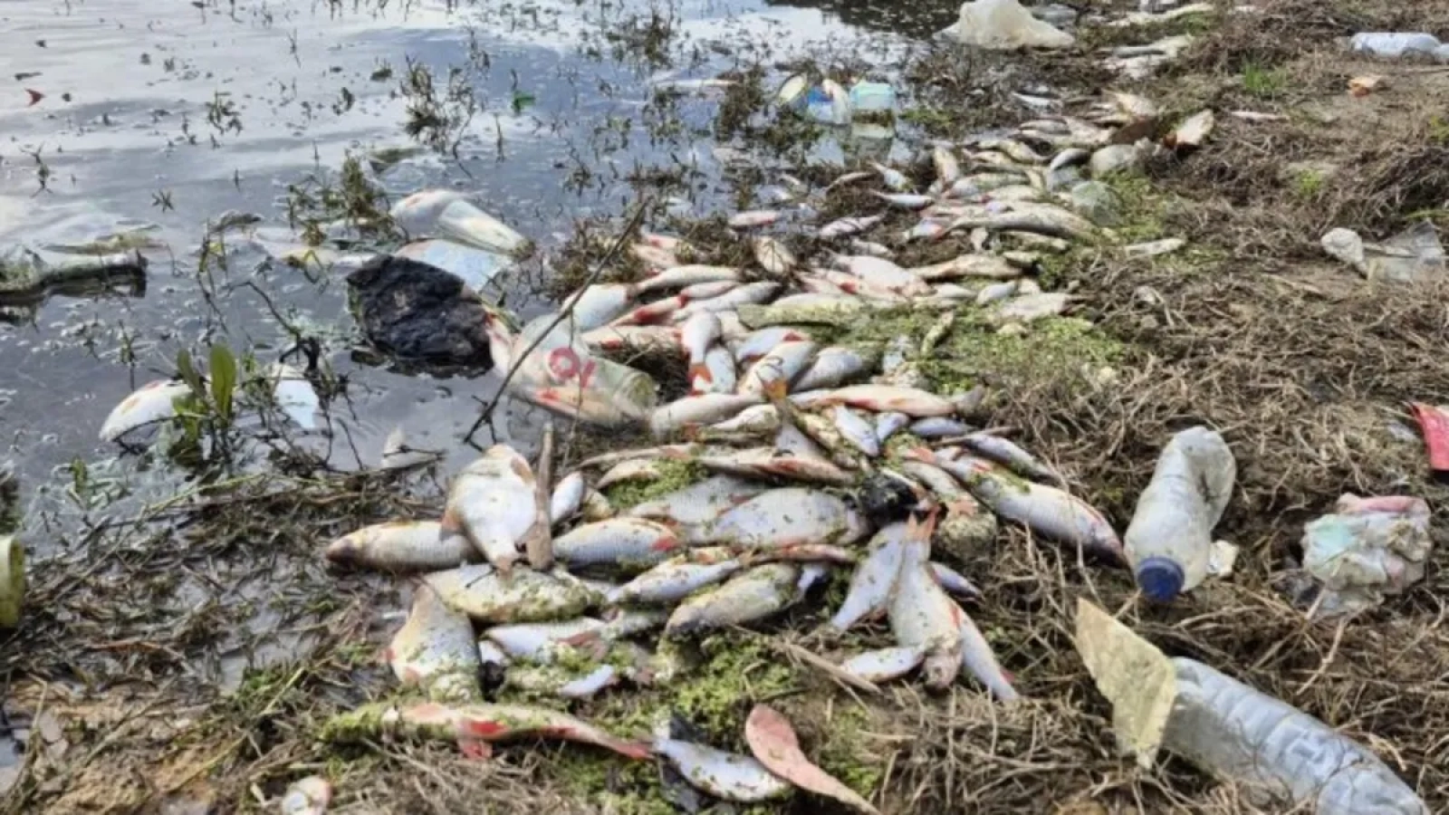 1200x675-eyupsultanda-tedirgin-eden-goruntuler-1767612809283