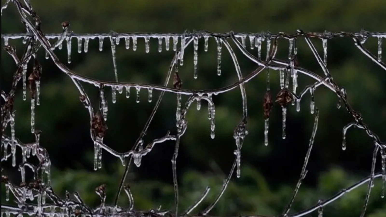 1200x675-fransada-siddetli-yagislar-5-vilayete-sel-uyarisi-1768733736891