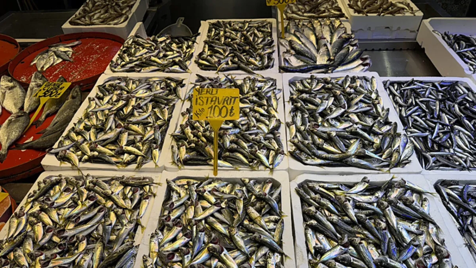 1200x675-trabzonda-balik-tezgahlarinin-yildizi-hamsi-ve-istavrit-1767526770213