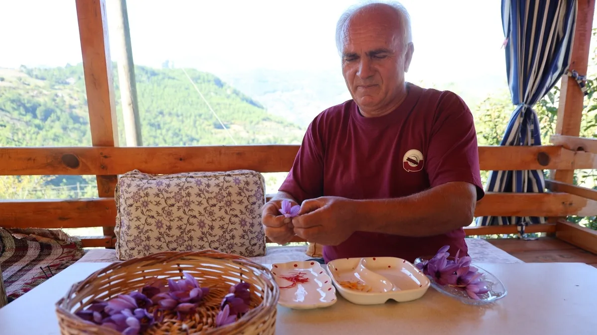 Her şey bir saksıyla başladı! 150 bin çiçekten 1 kilo elde ediliyor, gramı 900 TL